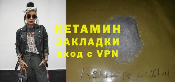 СК Новодвинск