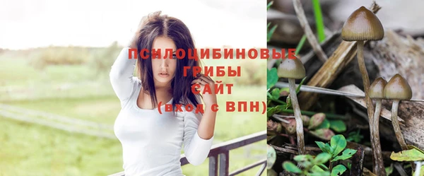 дурь Балахна