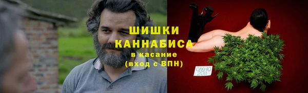 СК Новодвинск